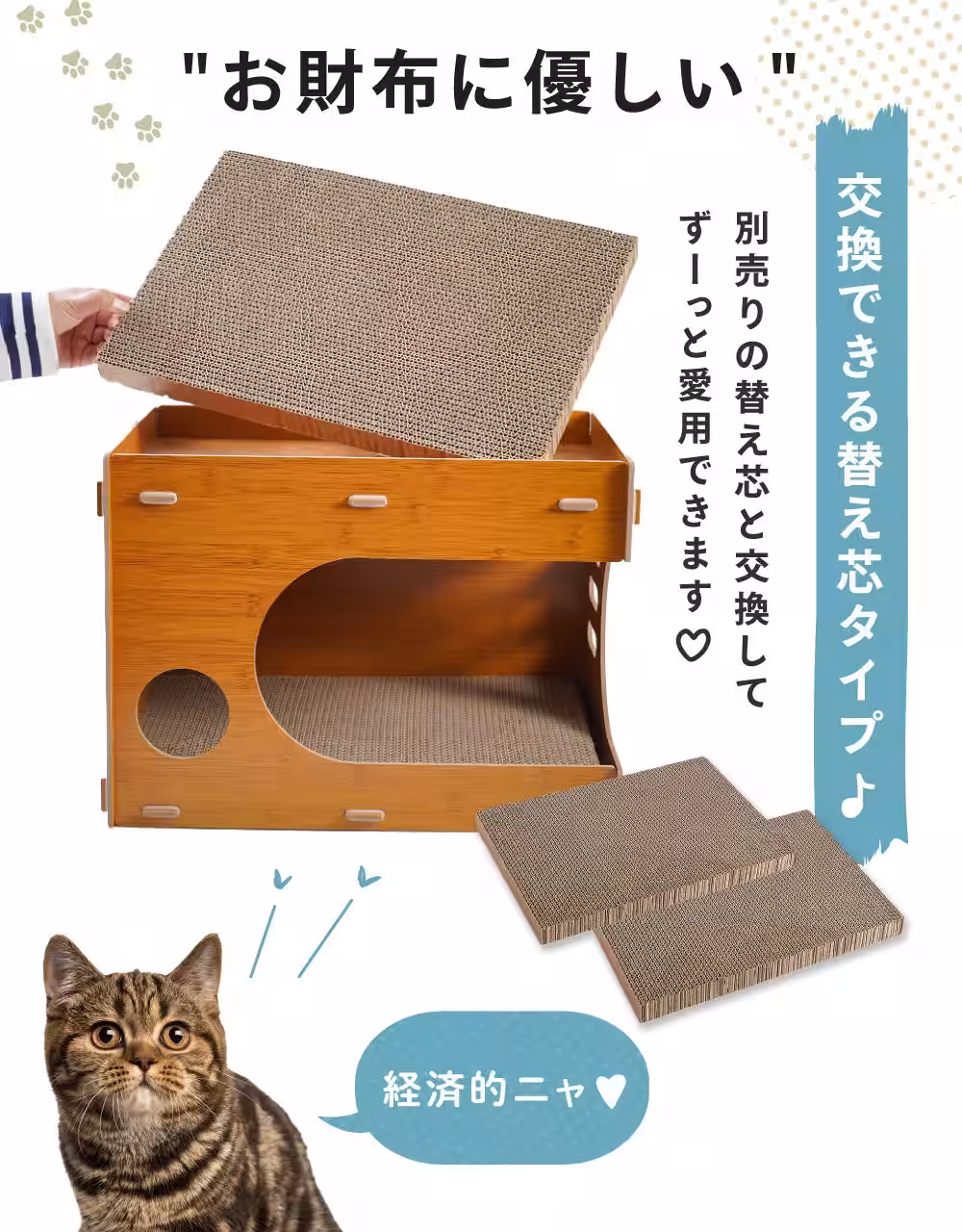 画像16