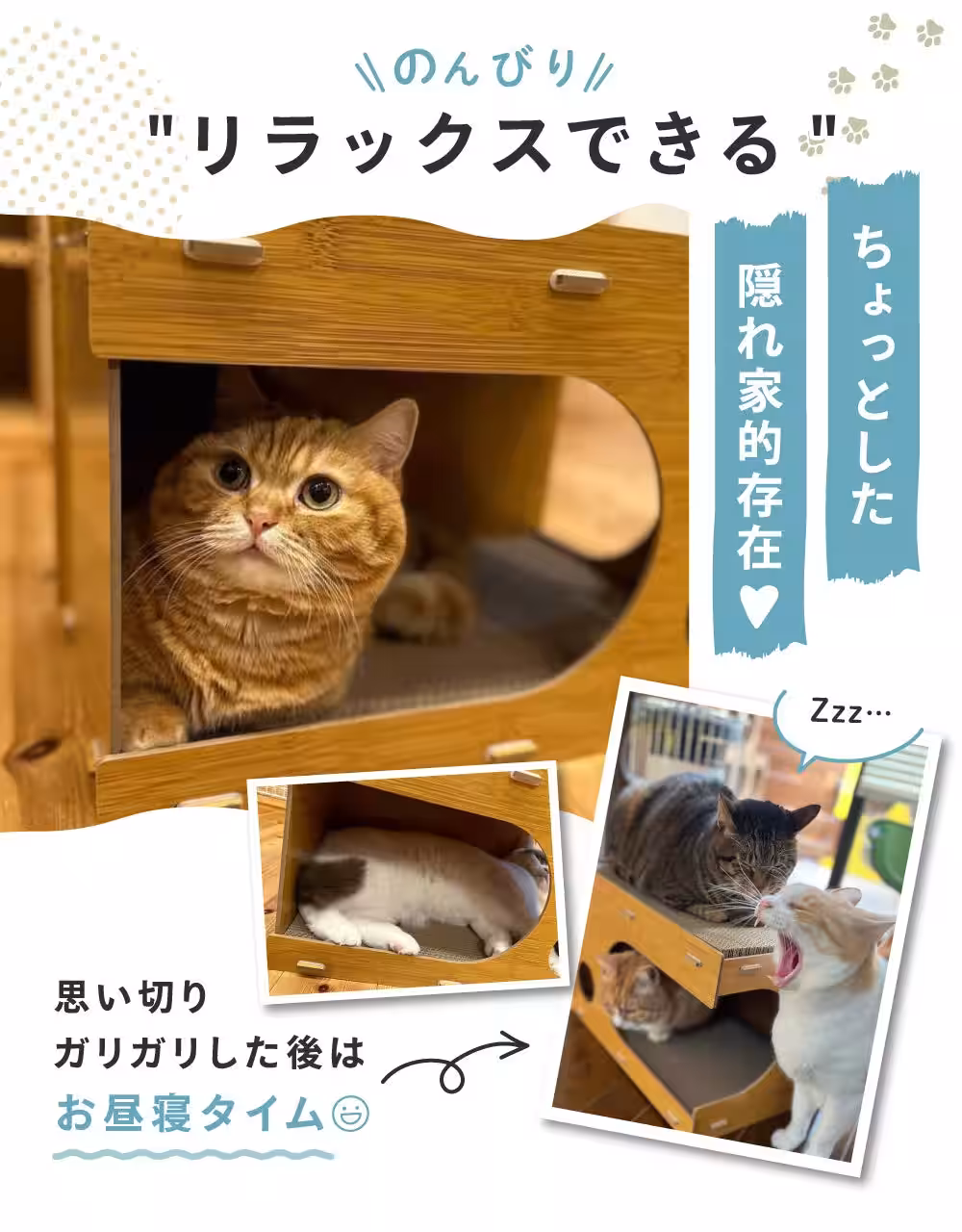 画像14