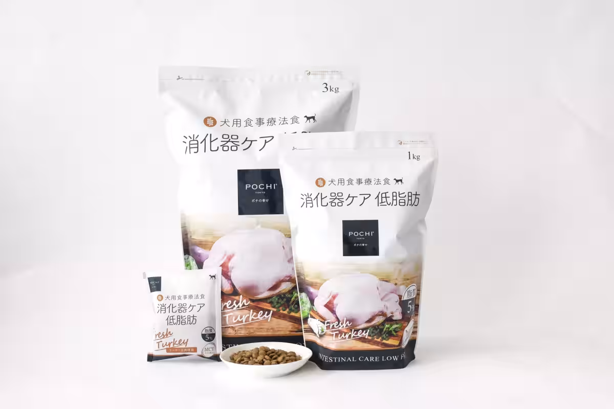 画像10