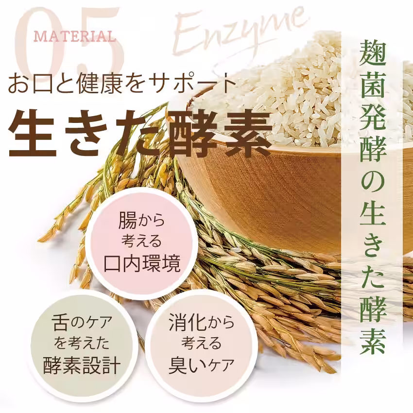 画像15