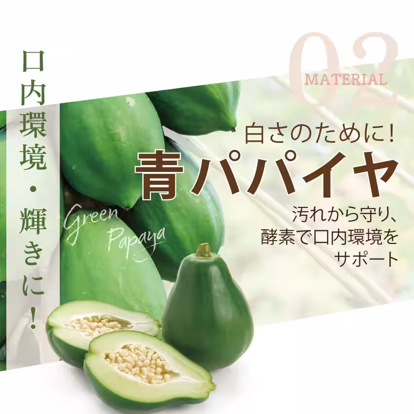 画像12