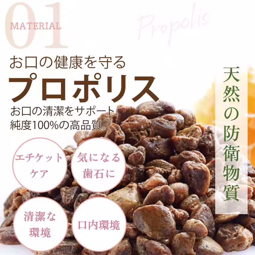 画像11