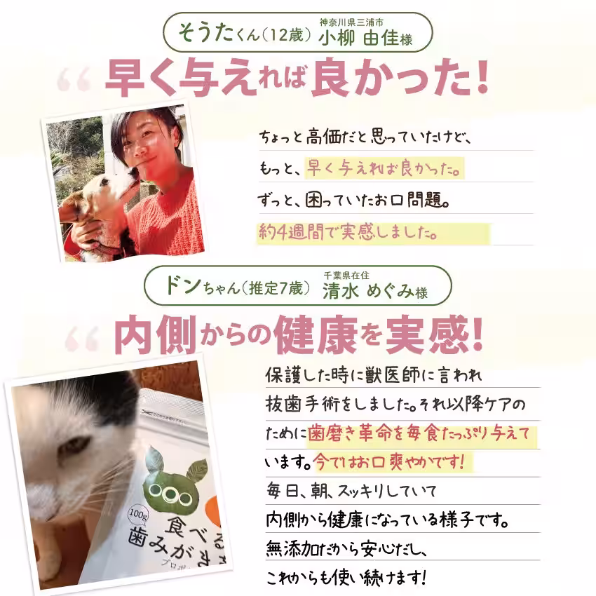 画像19
