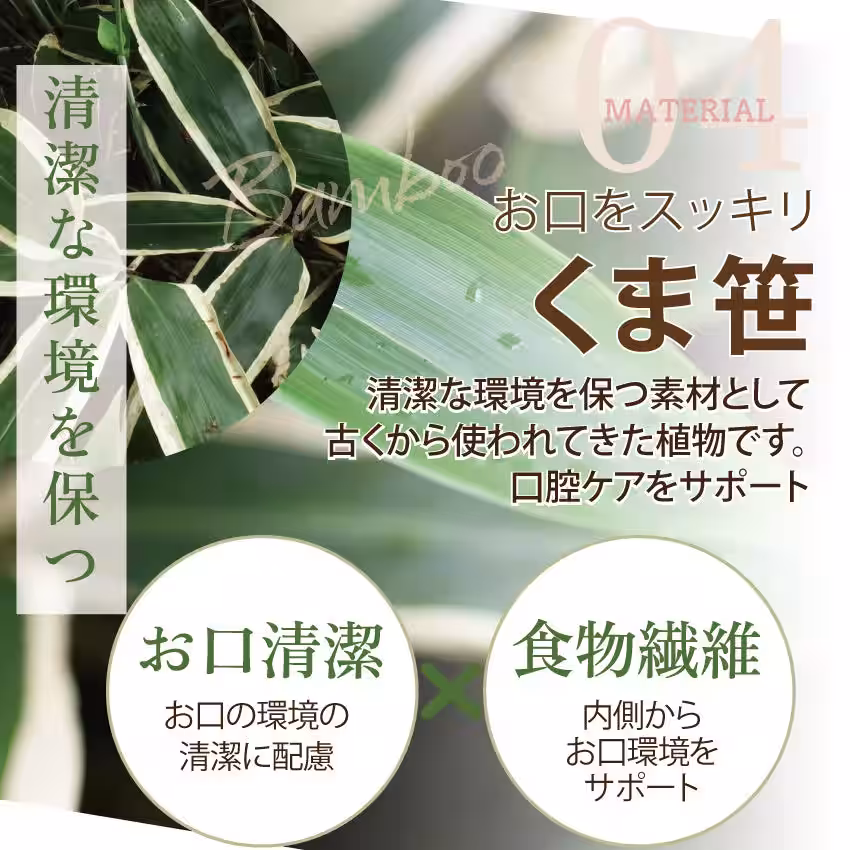 画像14