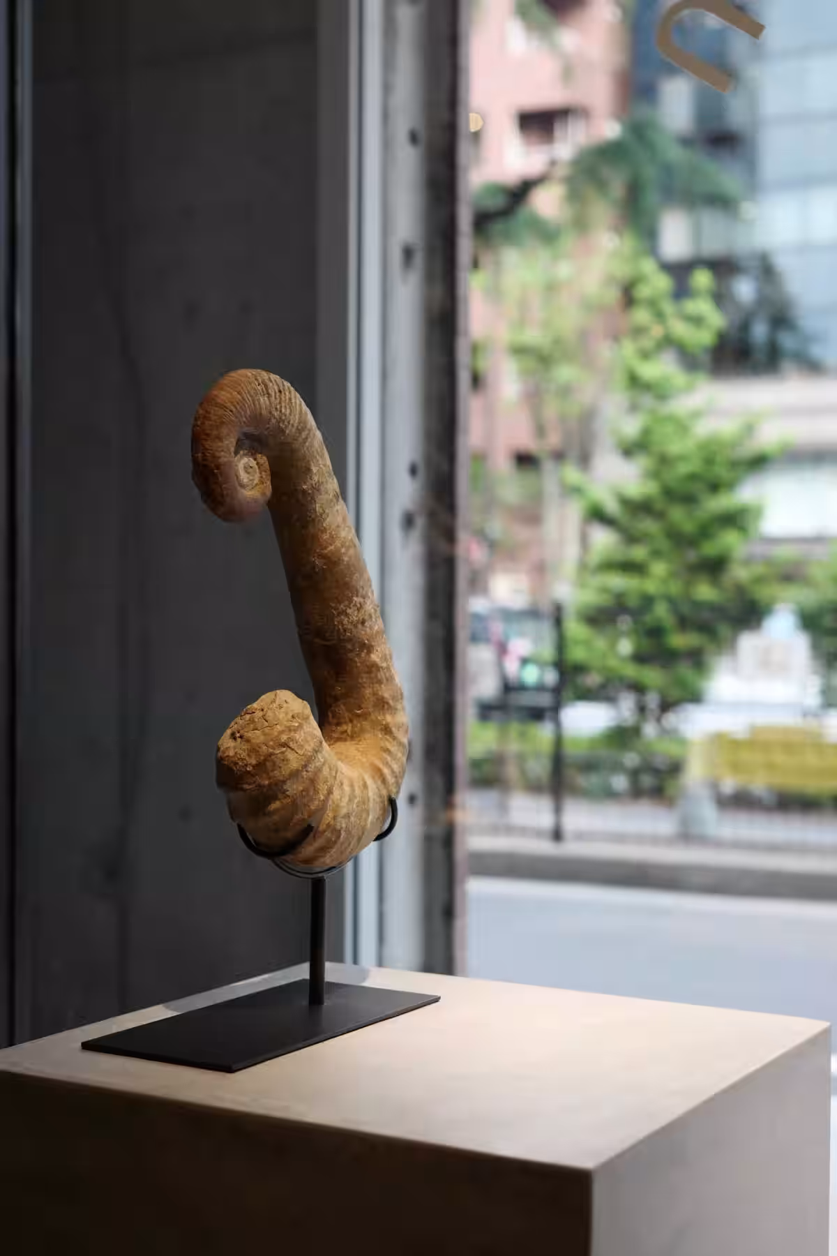 画像21