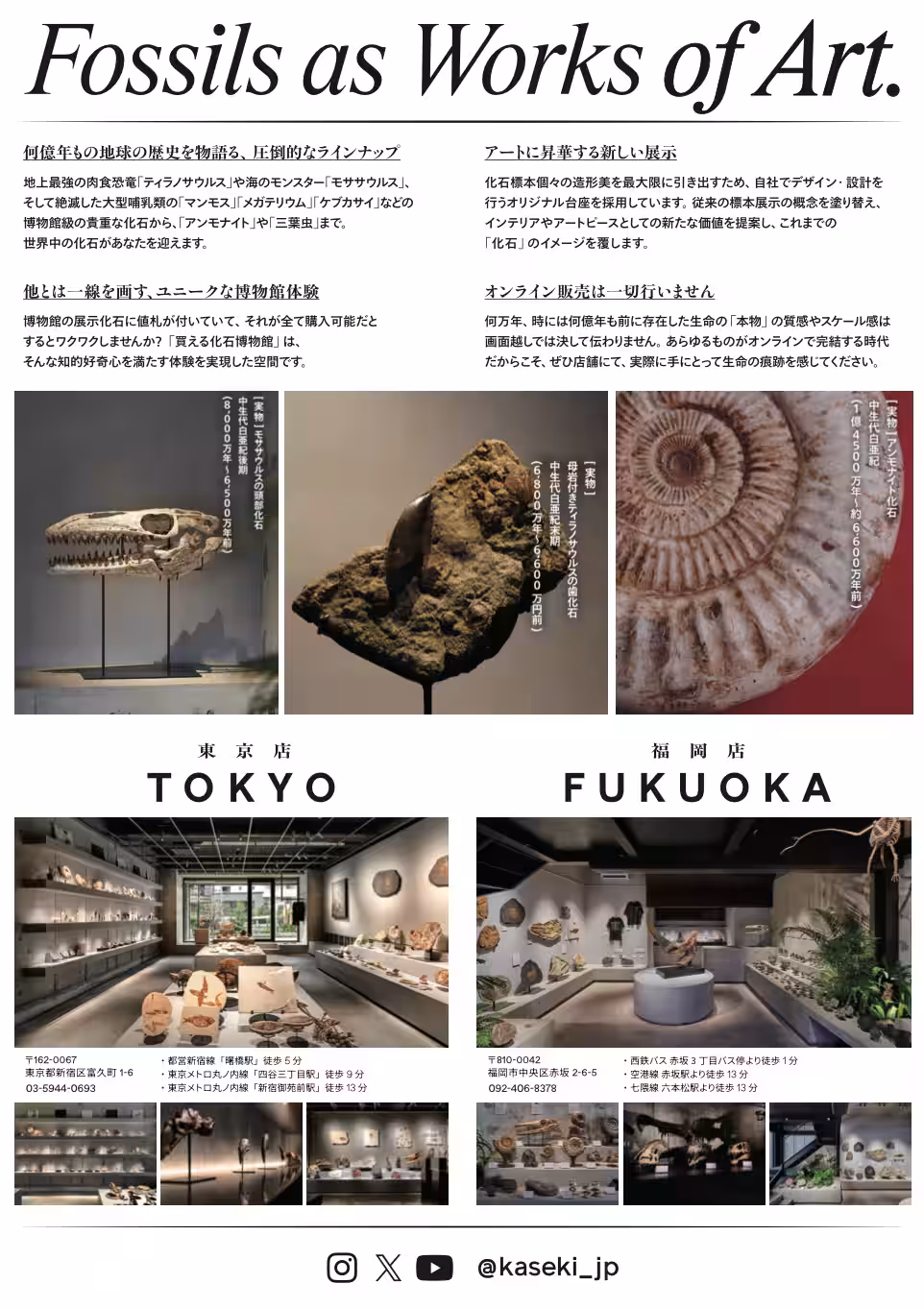 画像27