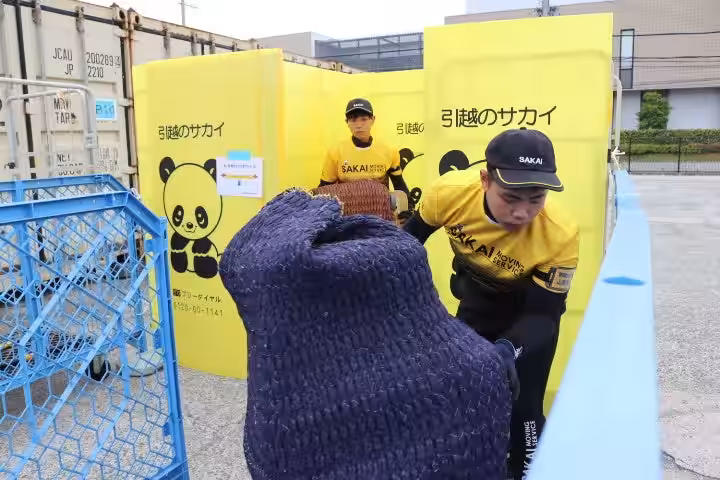 画像6