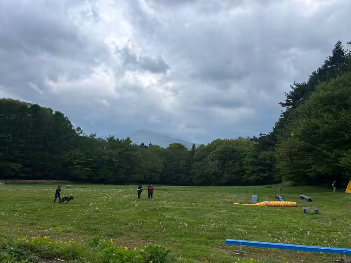 画像4