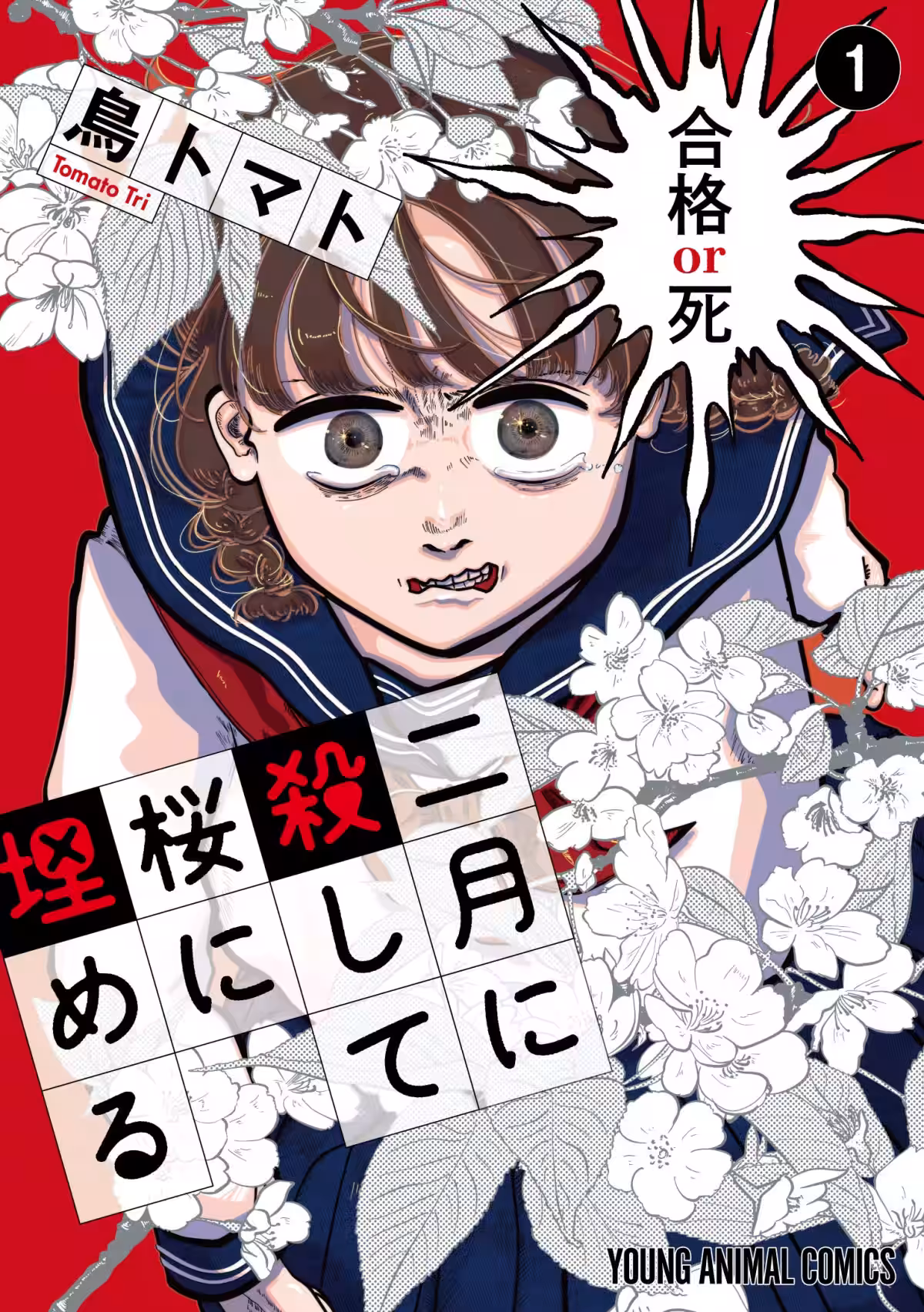 画像11
