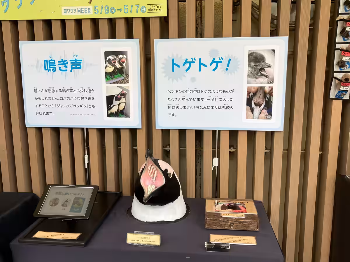 画像7