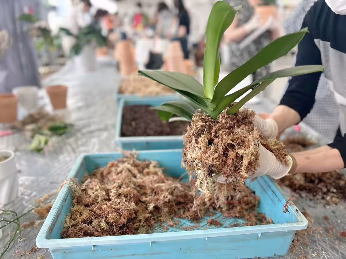 画像15