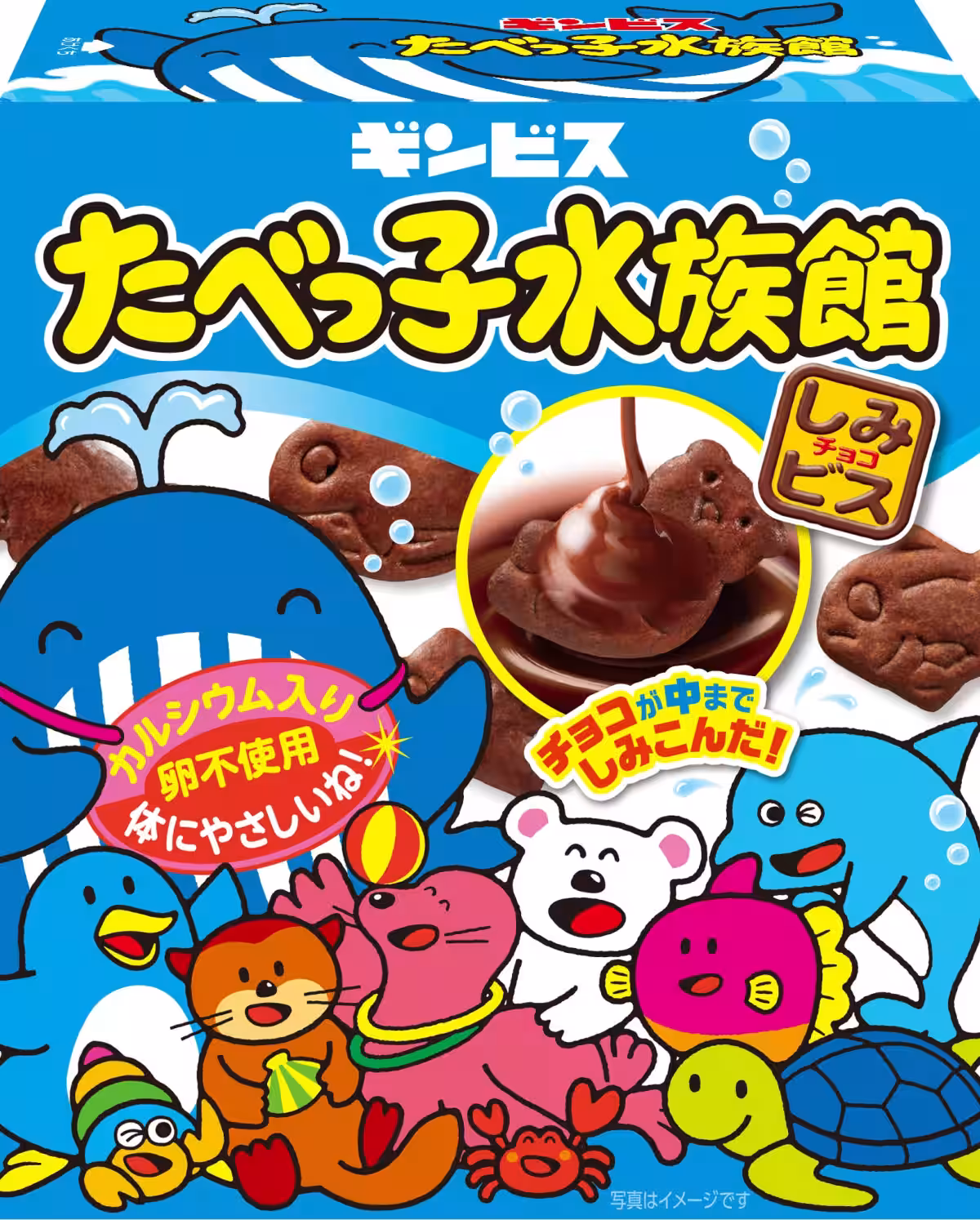 画像8