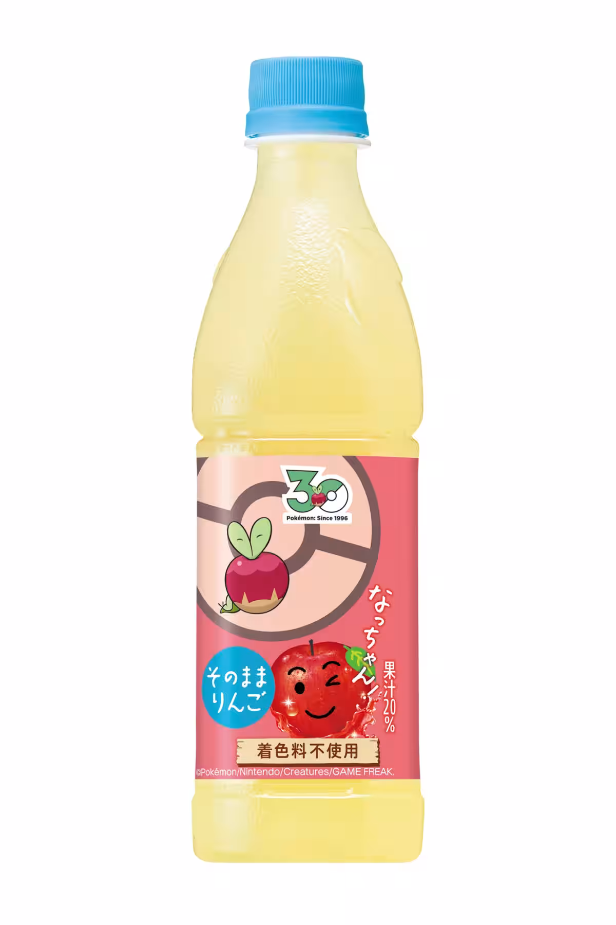 画像15