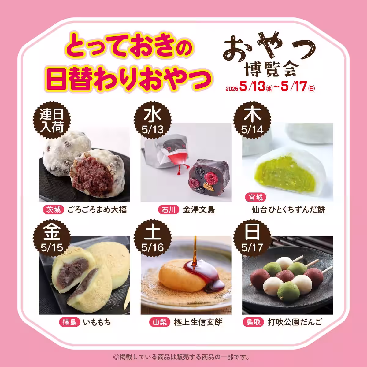 画像8