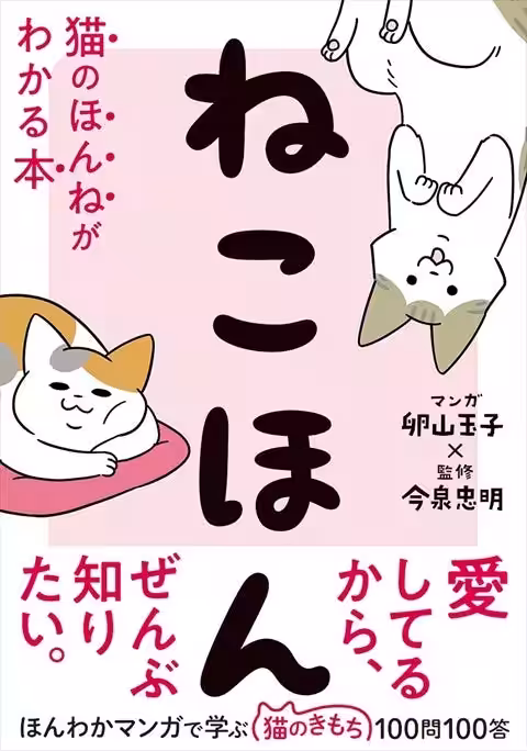 画像12