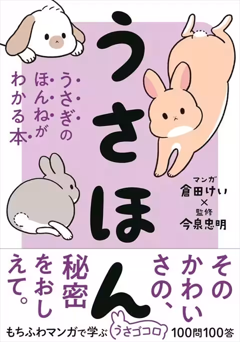 画像15