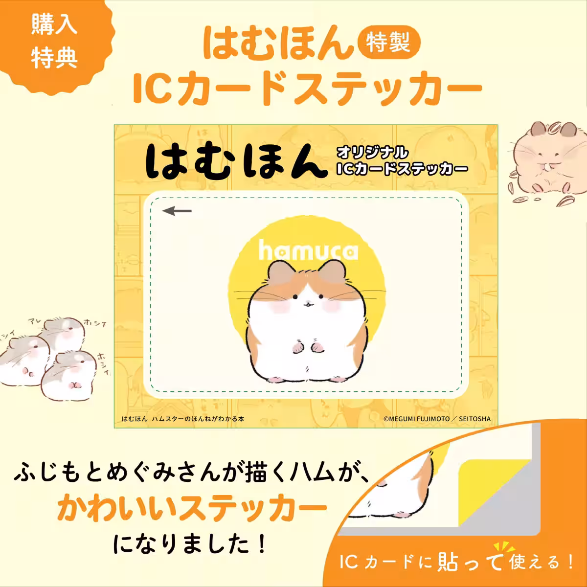 画像9