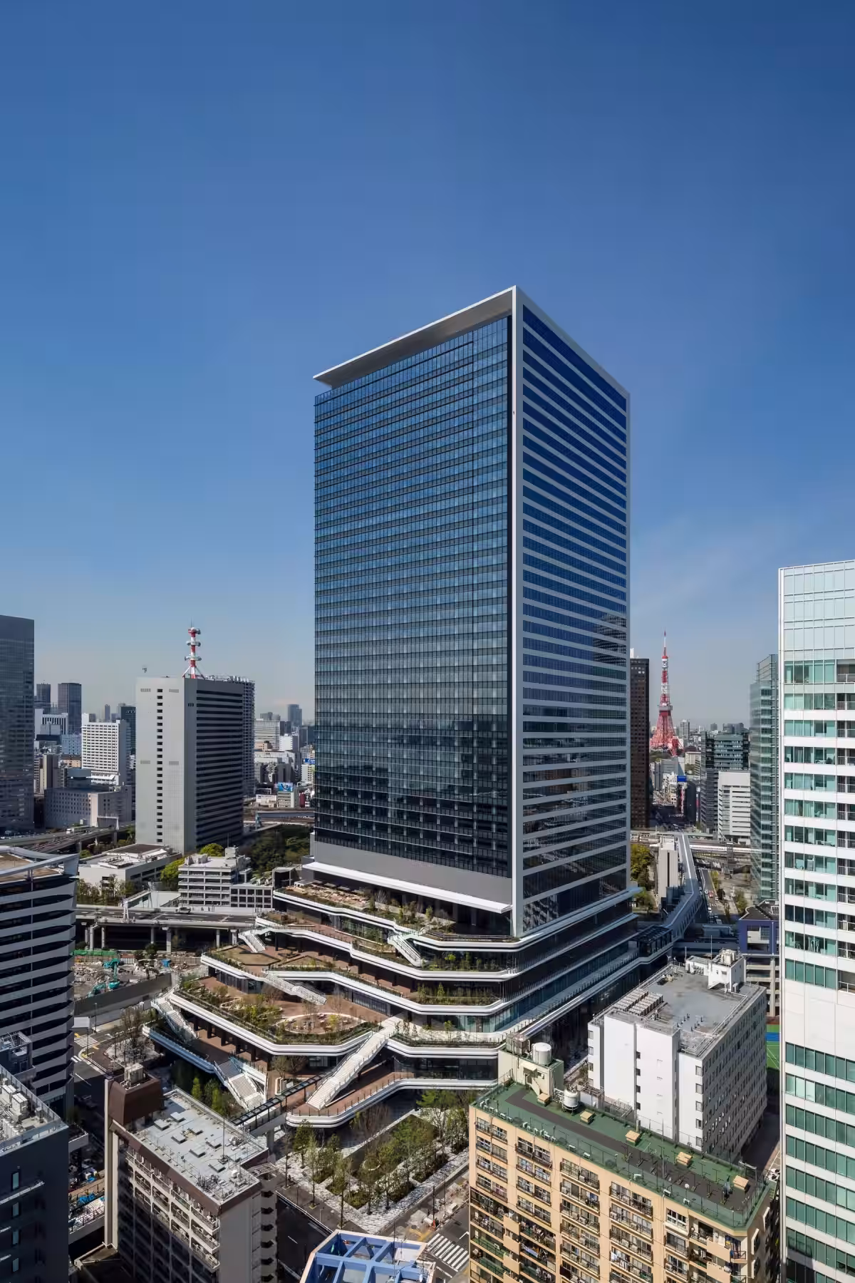 画像8