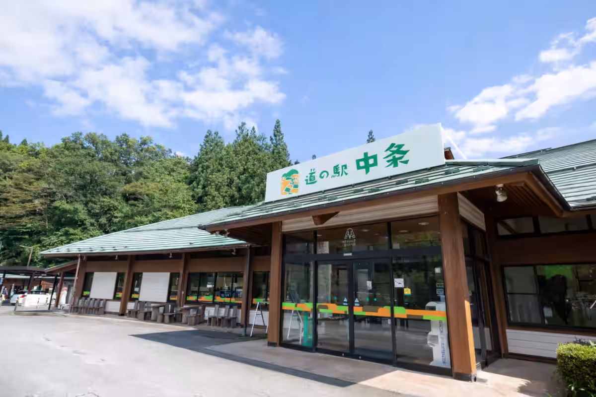 画像5