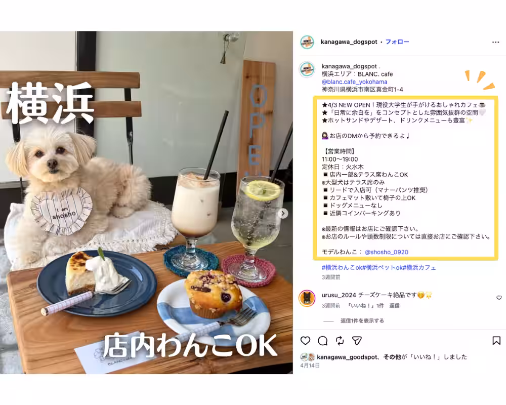 画像10