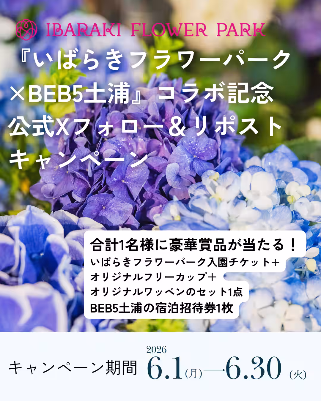 画像11
