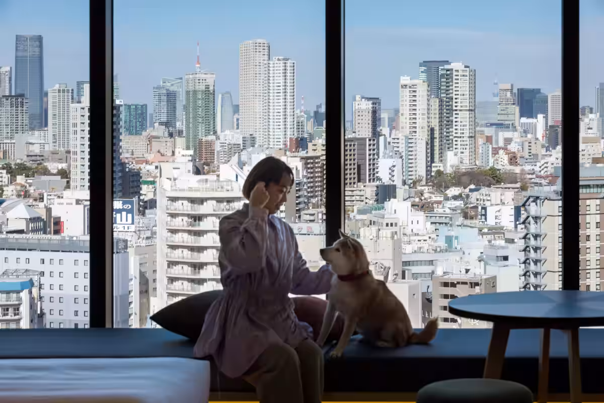 画像7