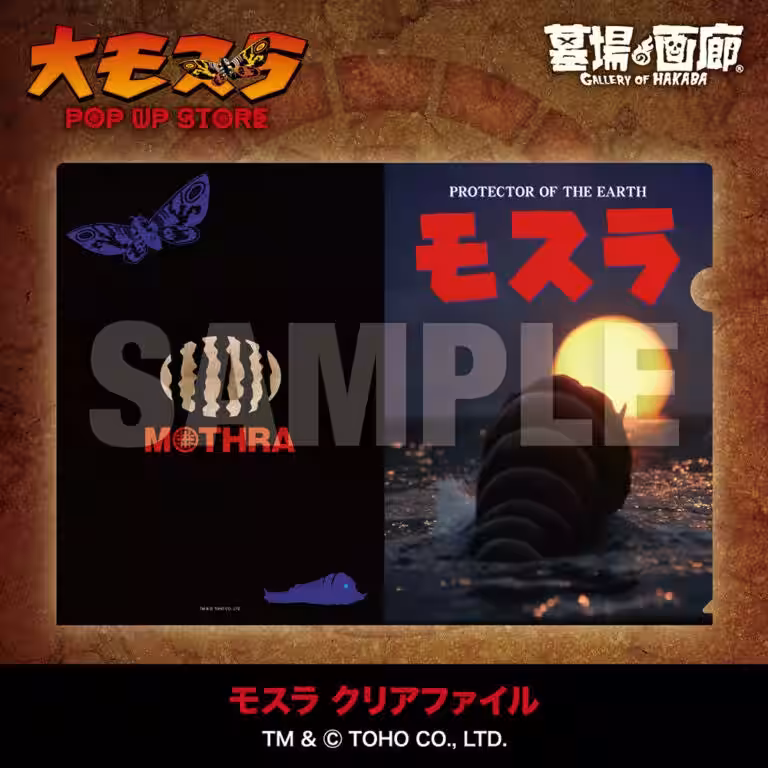 画像24