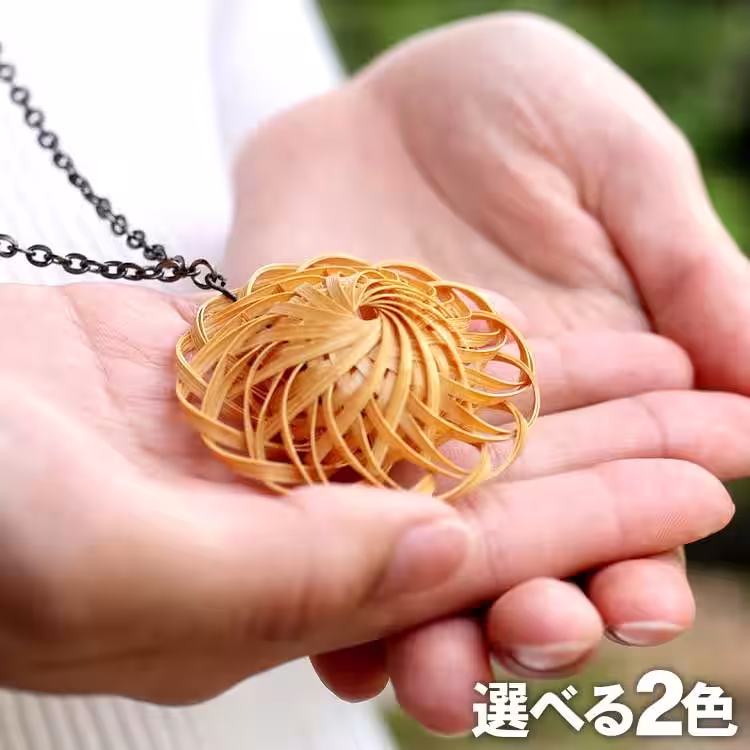 画像7