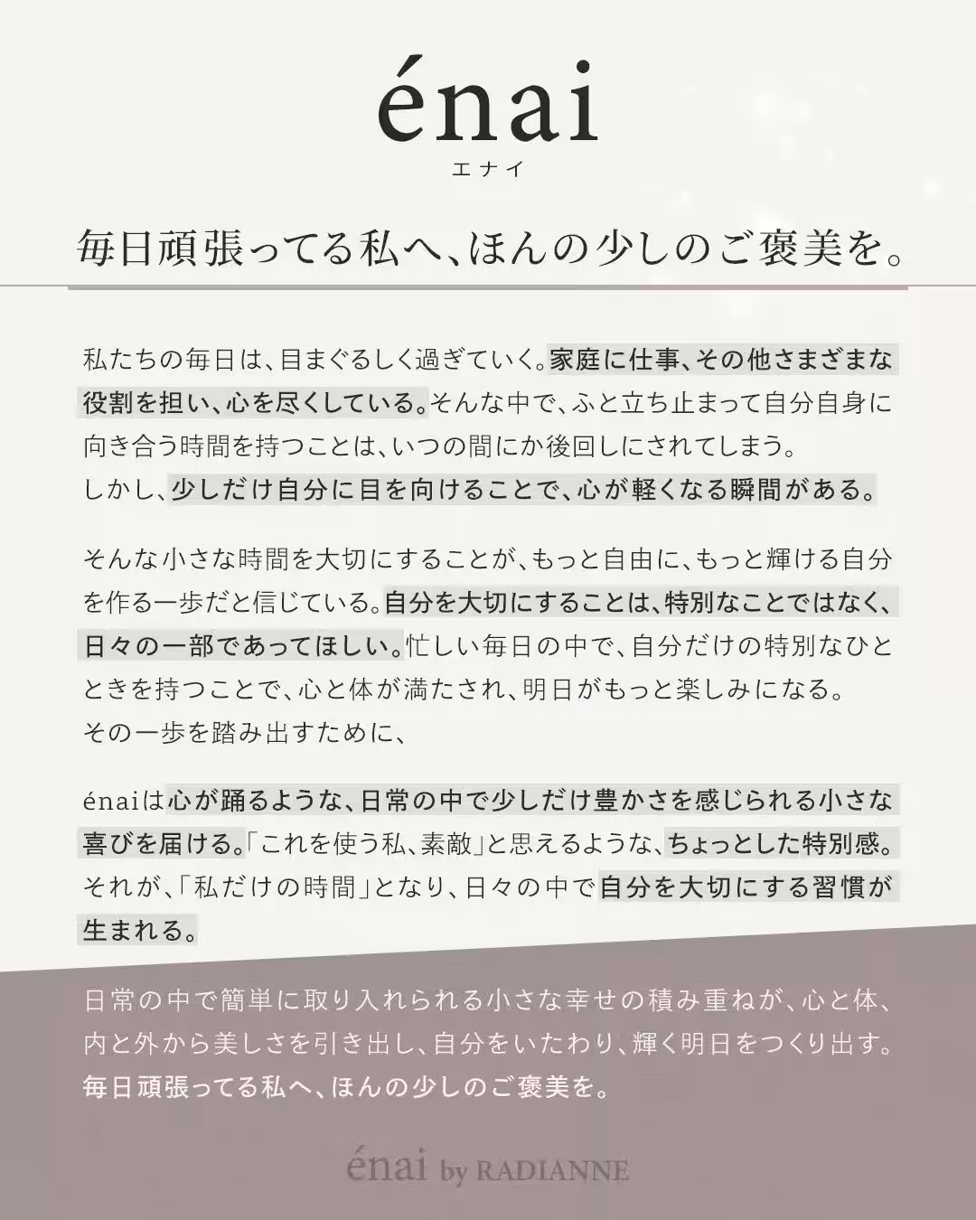 画像14