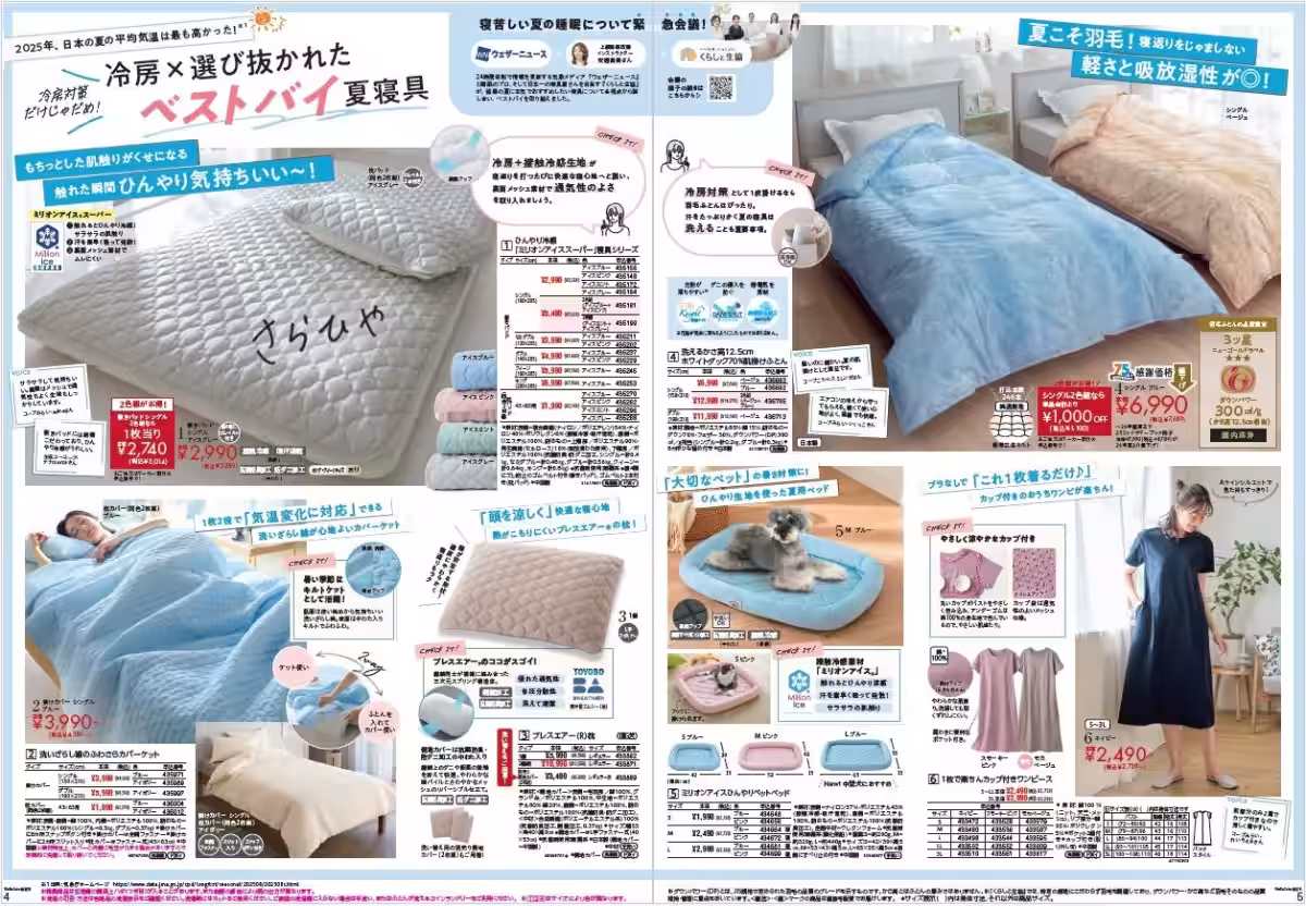 画像4