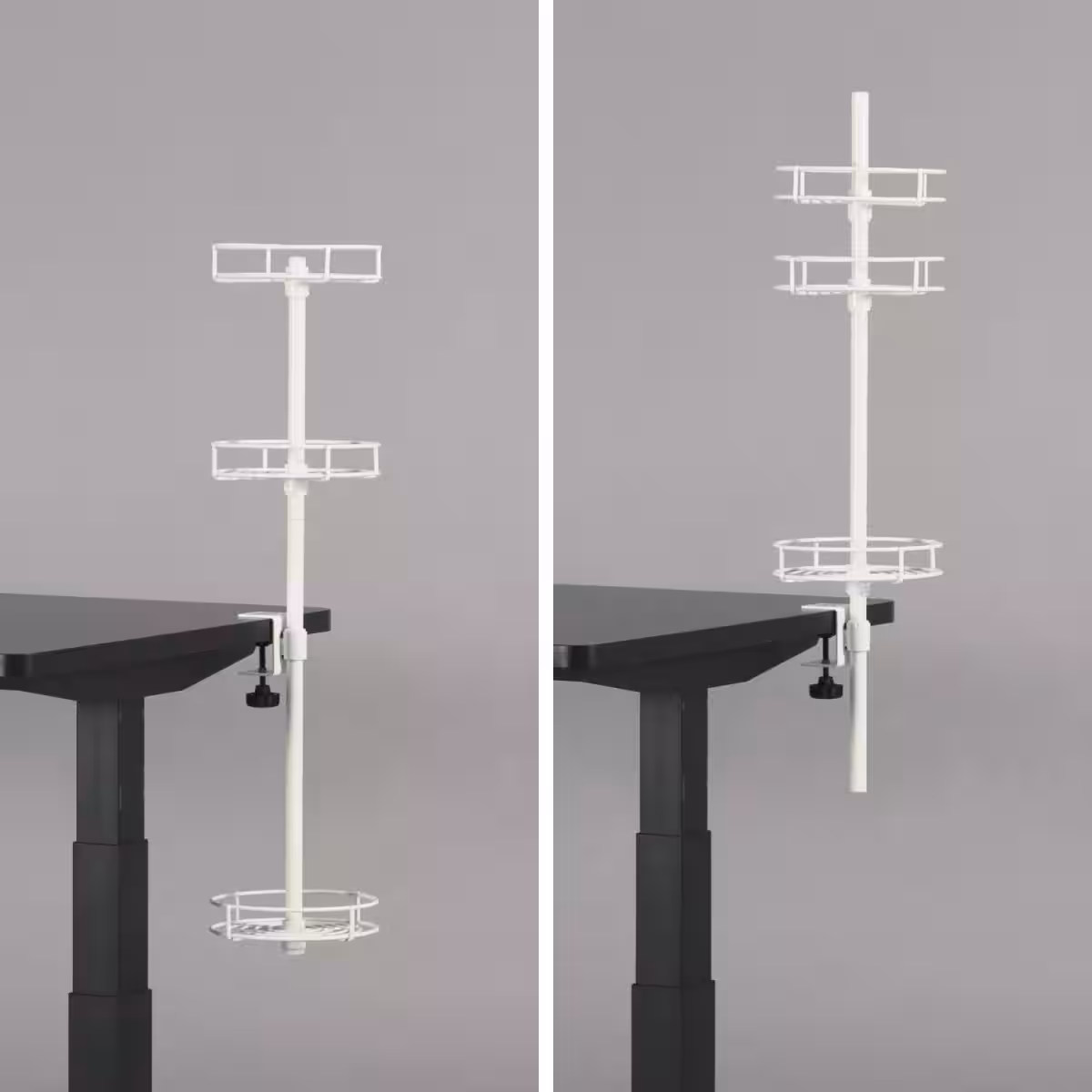 画像19