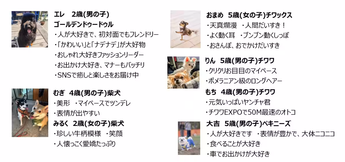 画像14