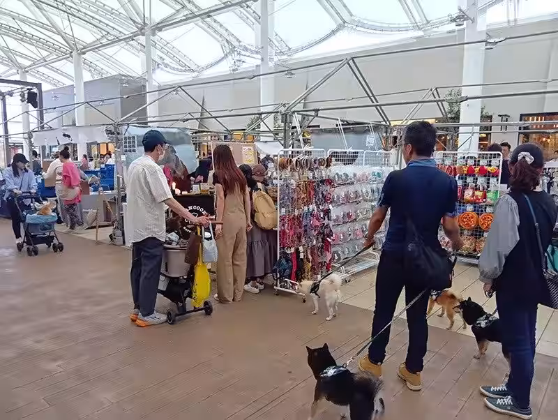 画像3