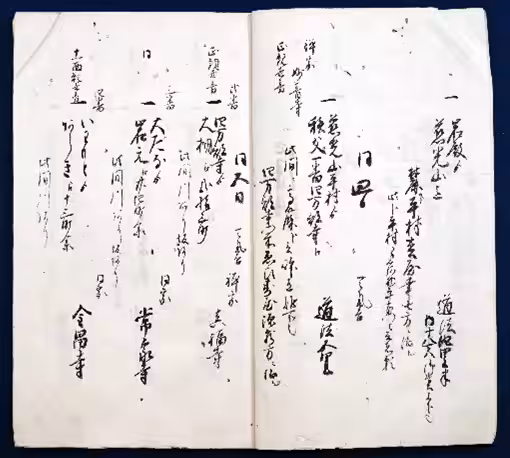 画像4