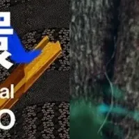 循環葬の未来を考える