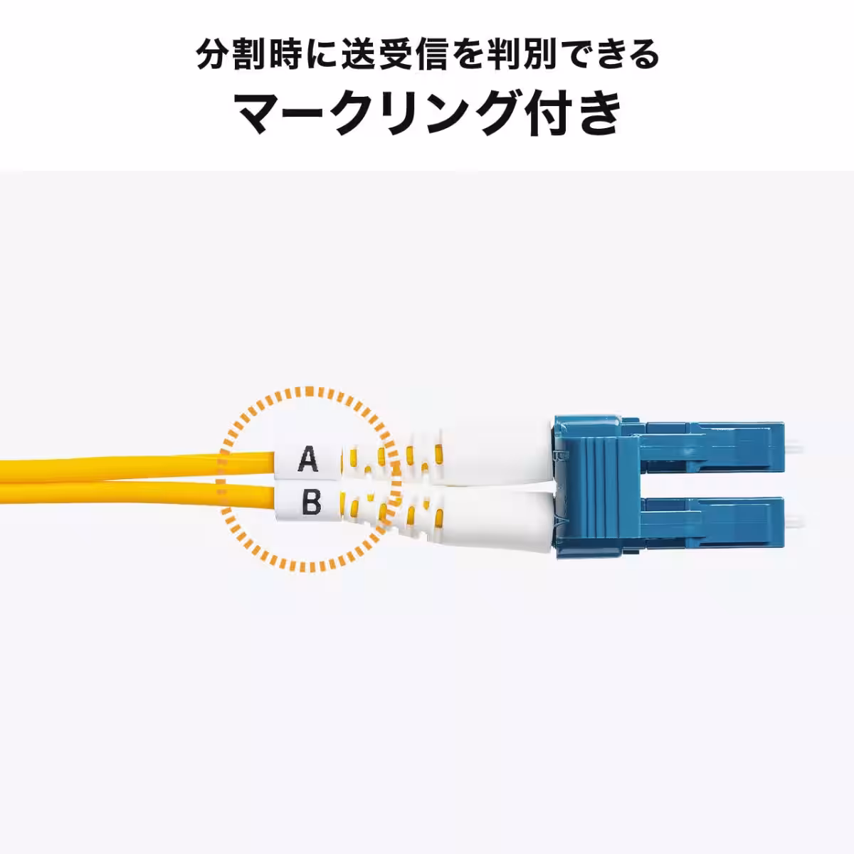 画像16
