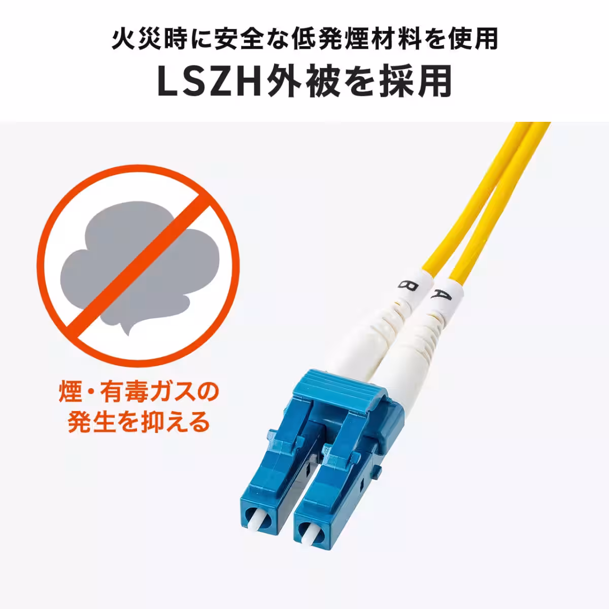画像11