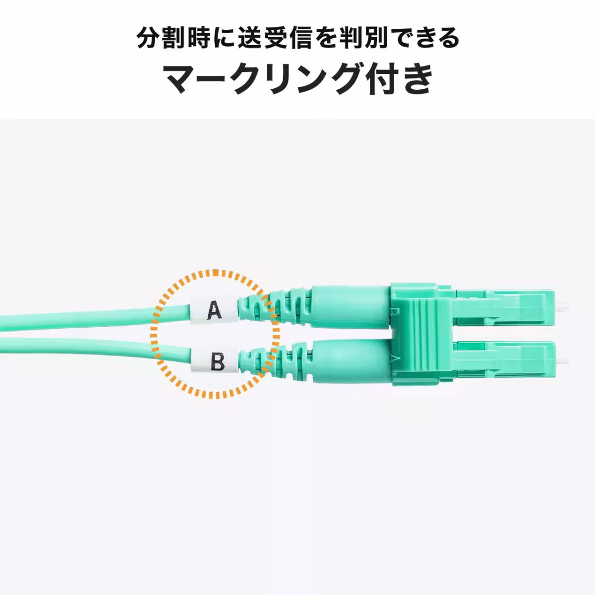 画像25