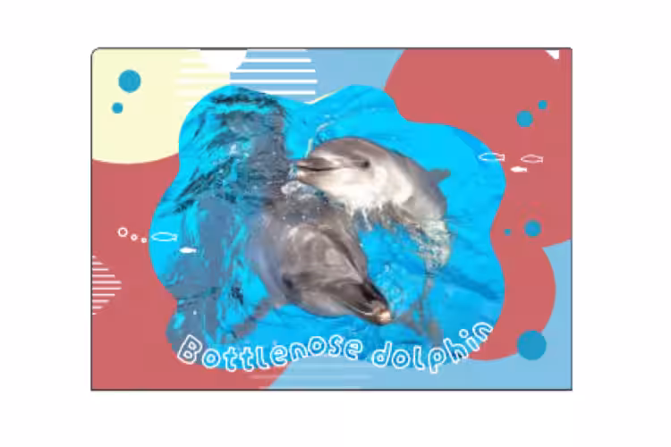 画像10