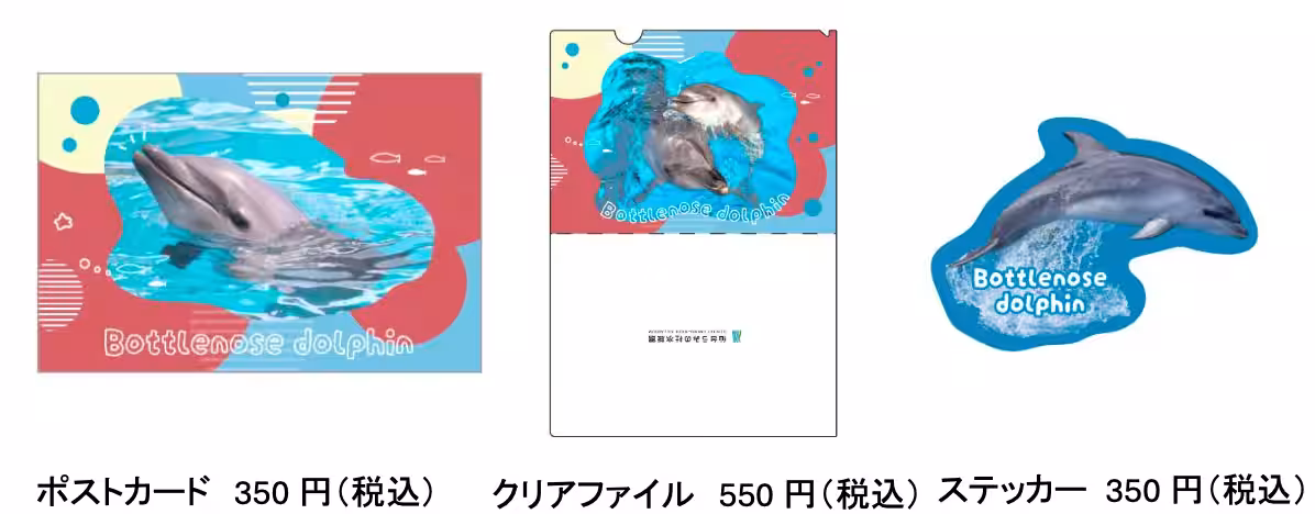 画像8