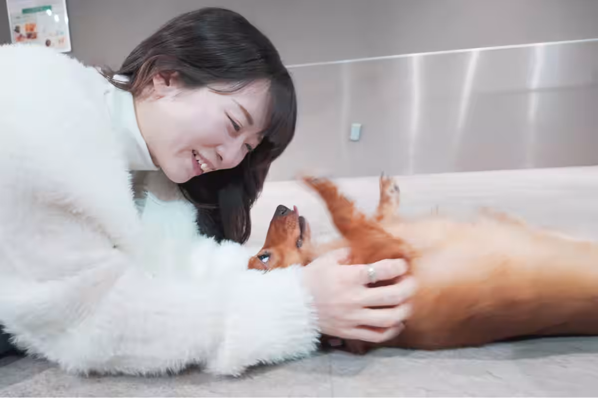 画像9