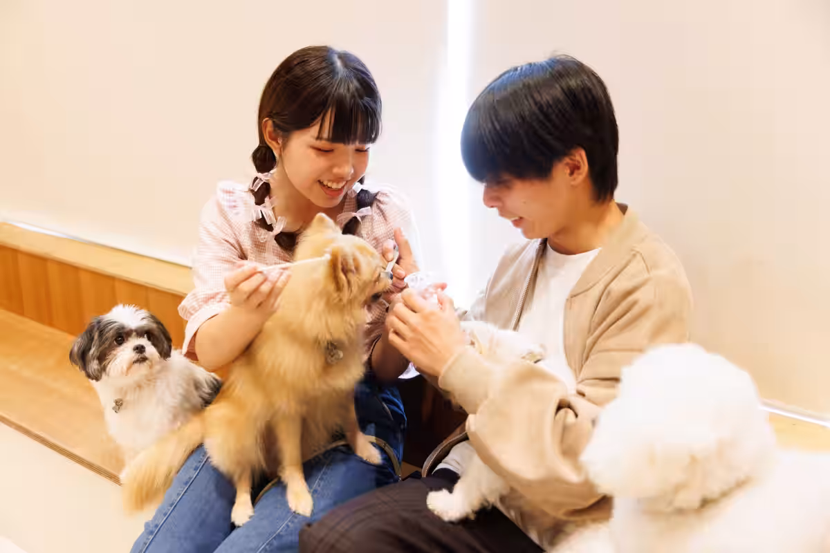 画像3