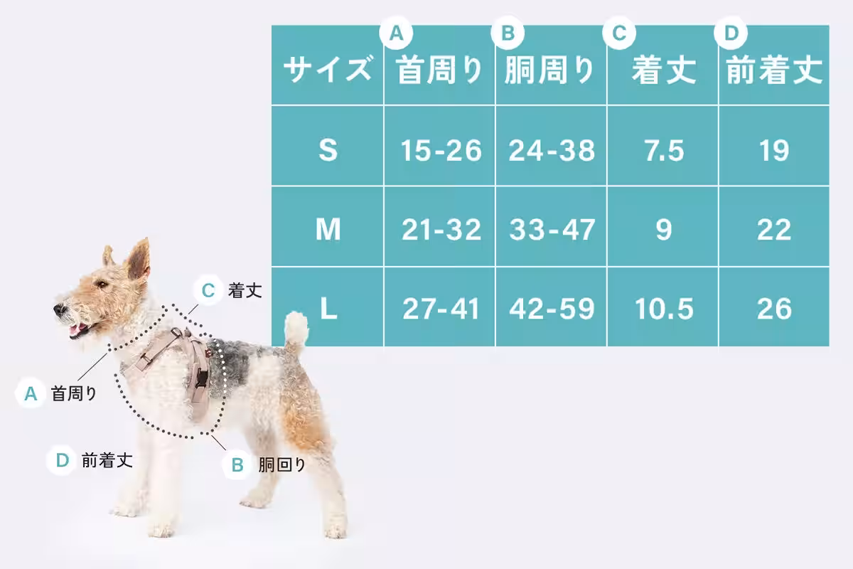 画像11