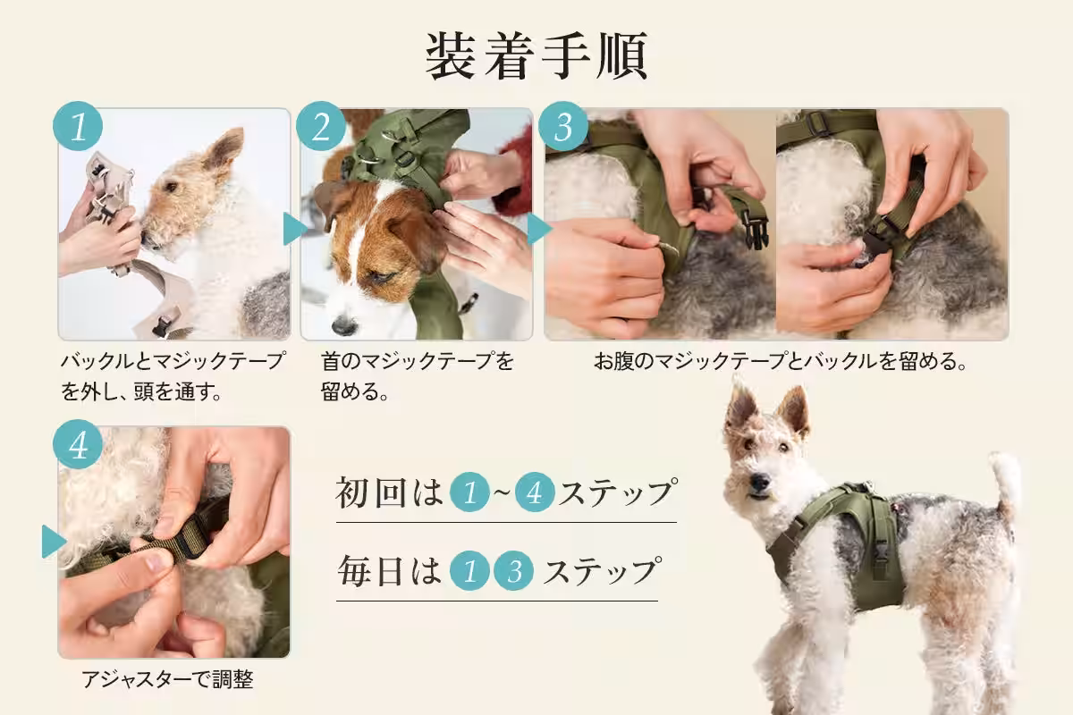 画像9
