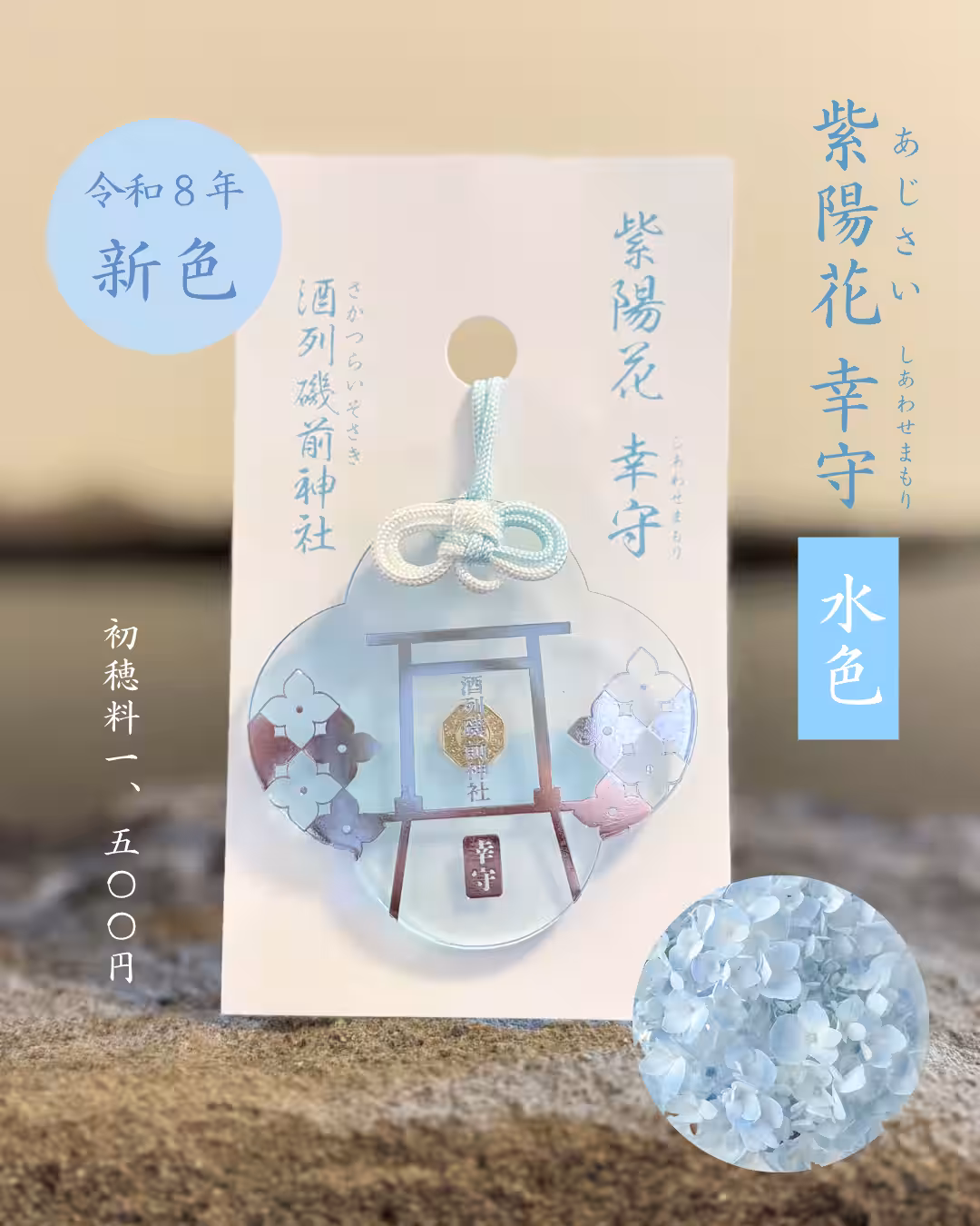 画像6