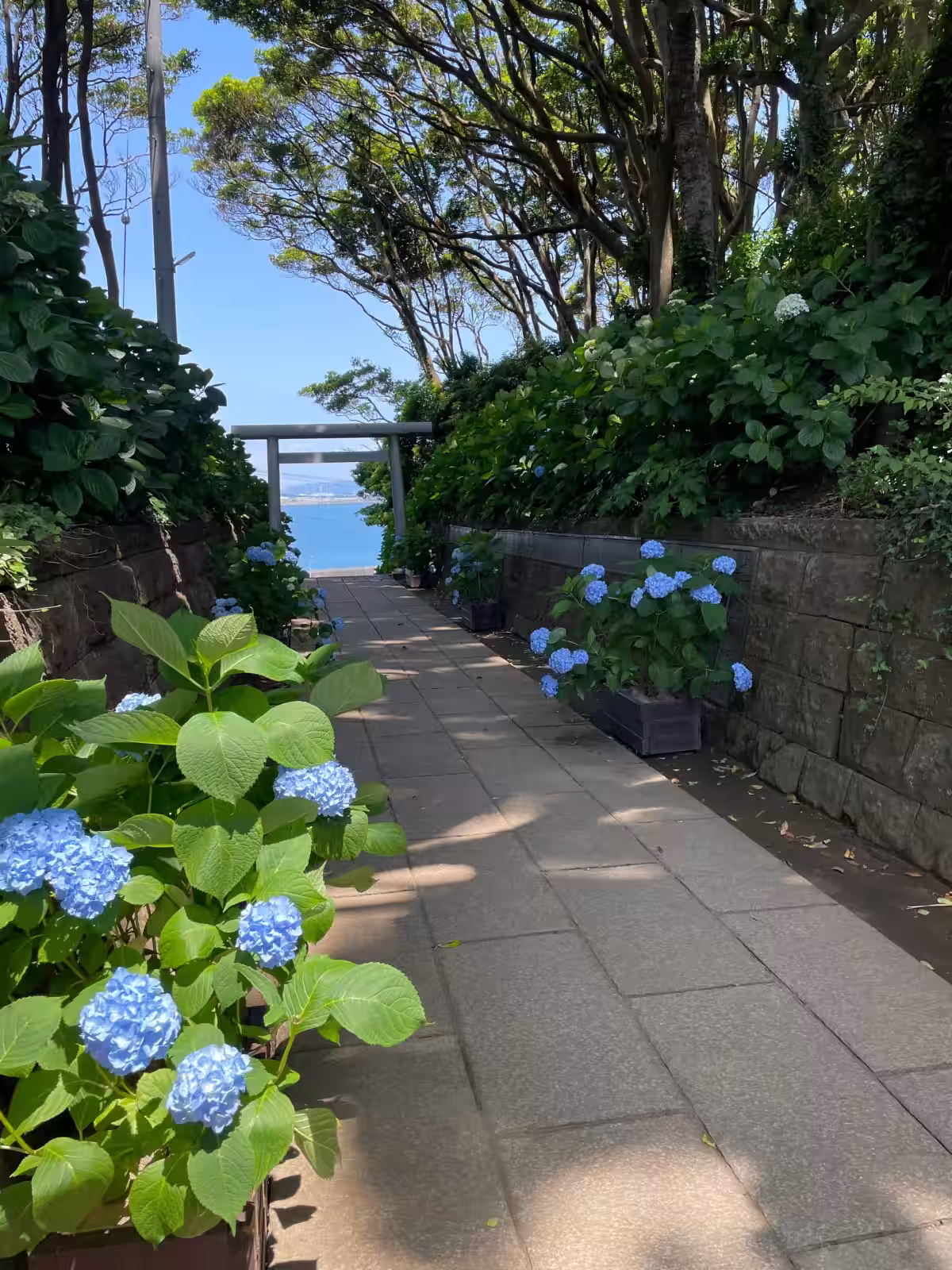 画像13