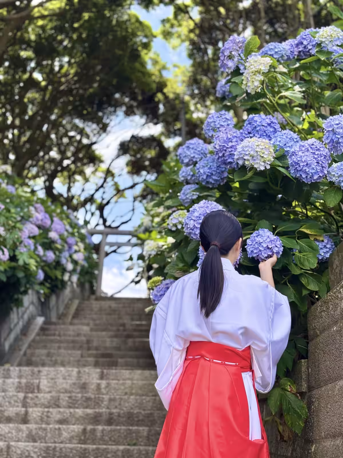 画像9