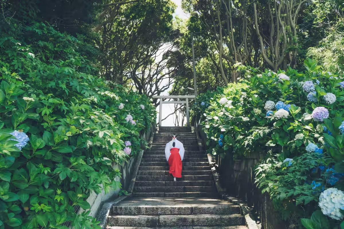 画像14