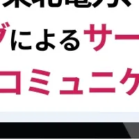 タレントパレット活用法