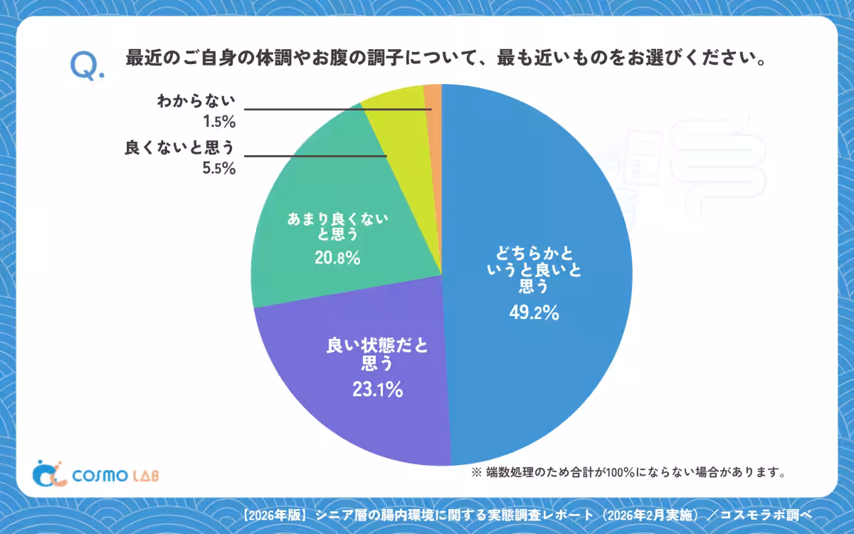 画像13